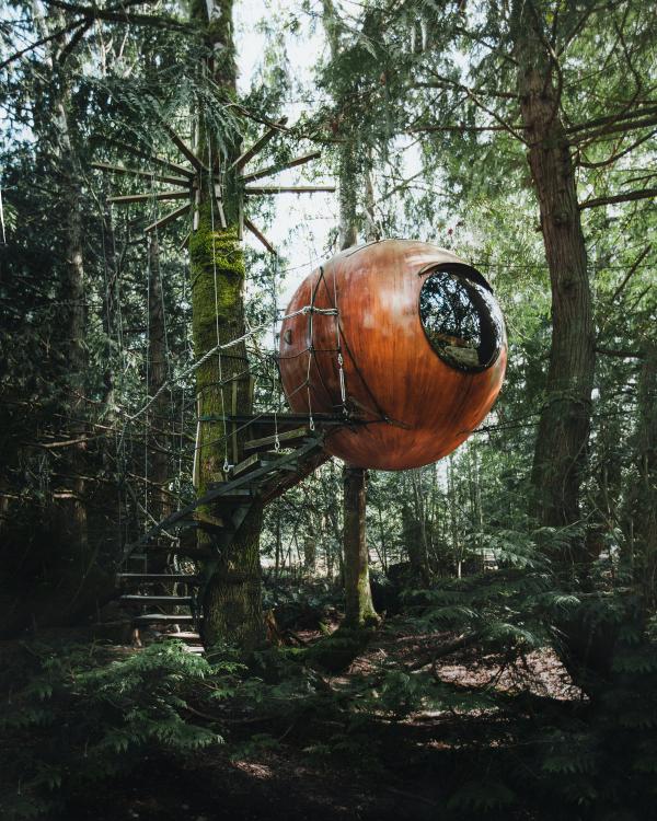 Unique round treehouse in the woods