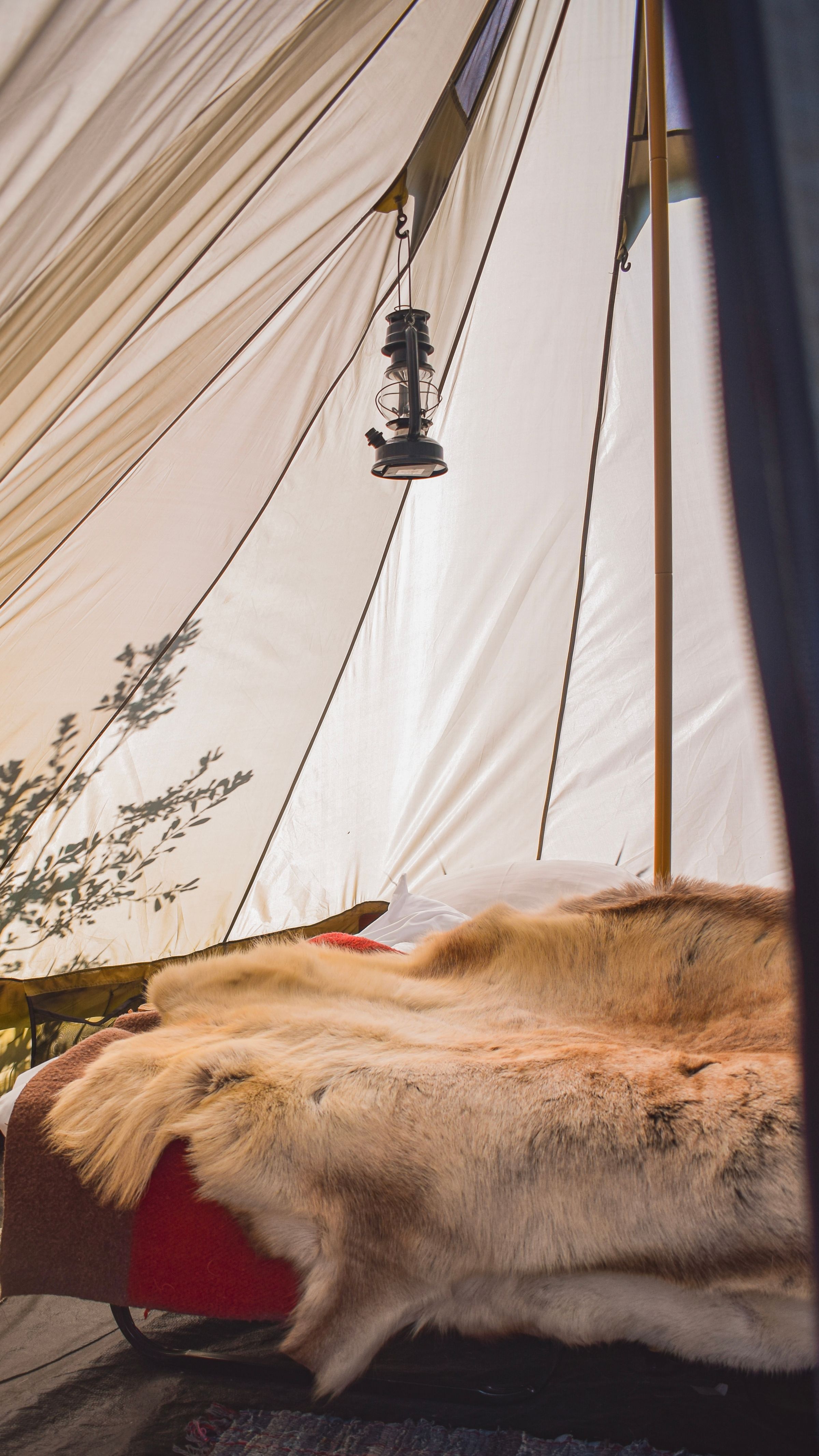 Glamping