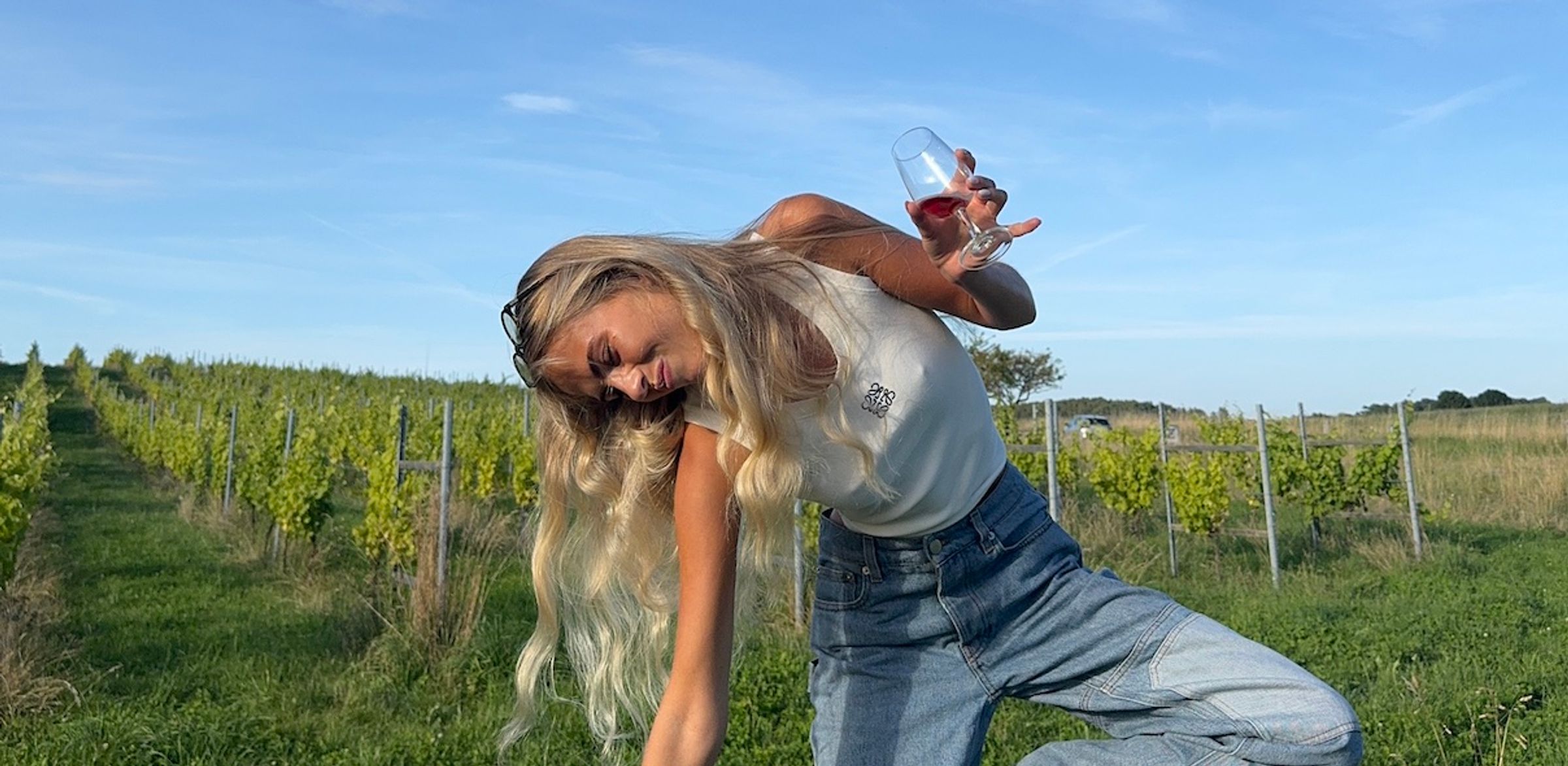 Vingårde i Danmark