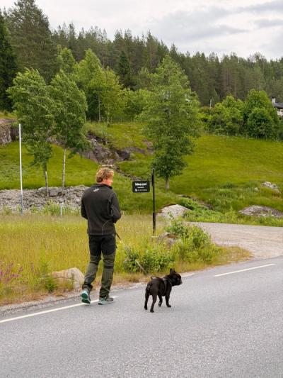 Ut på tur
