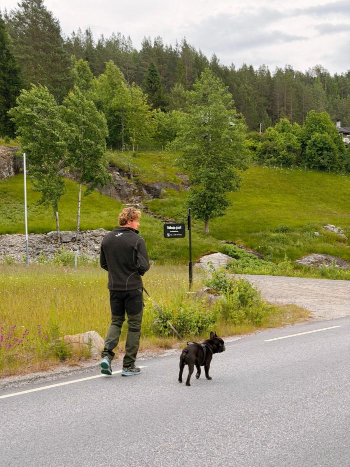 Ut på tur