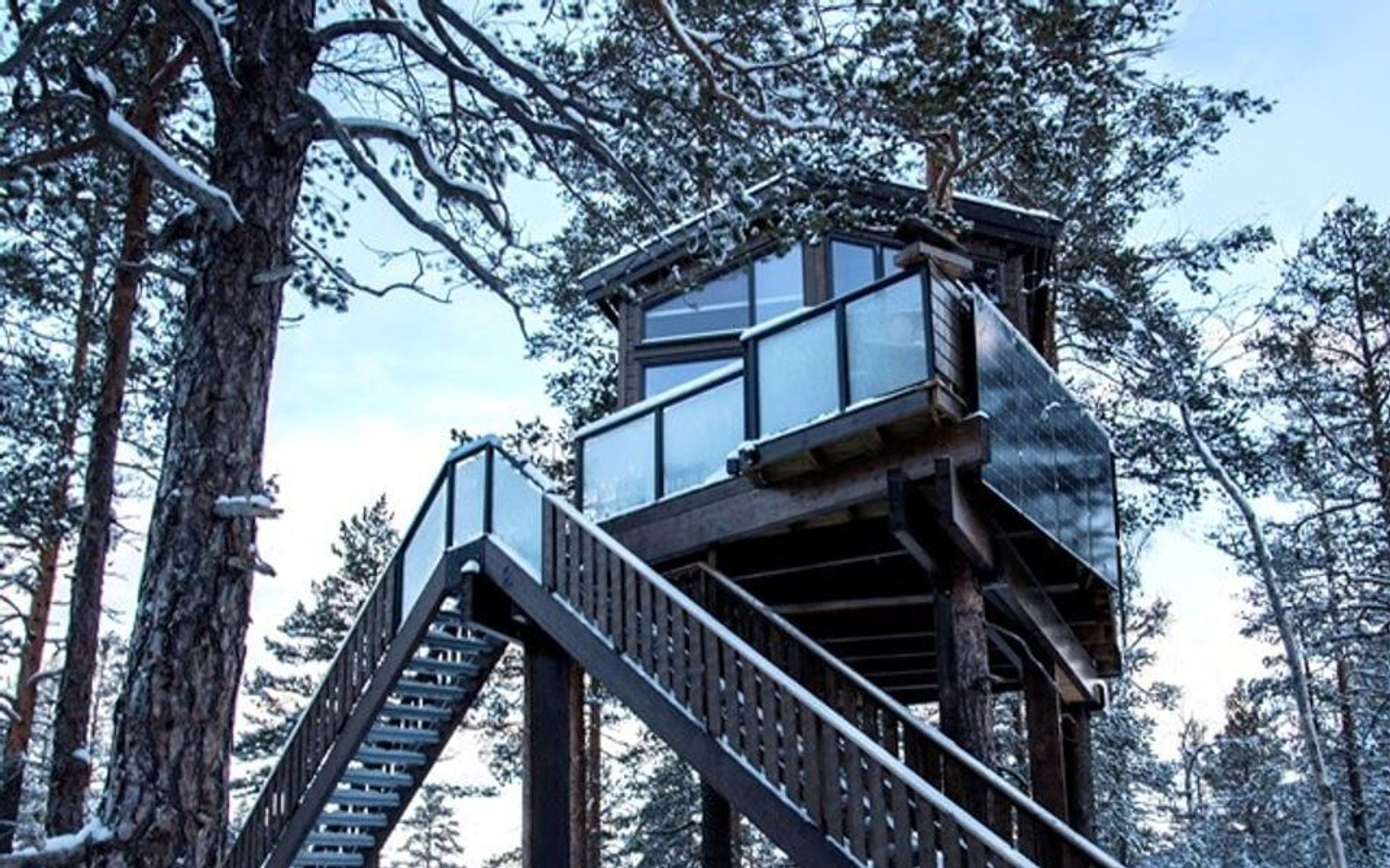Skandinaviens trädhus