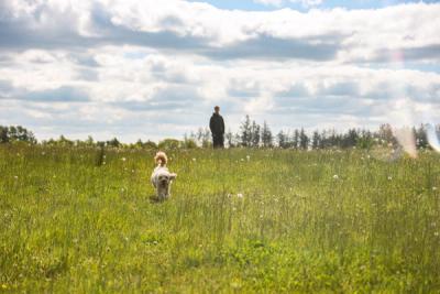 Vår getaway med hund och mys i centrum