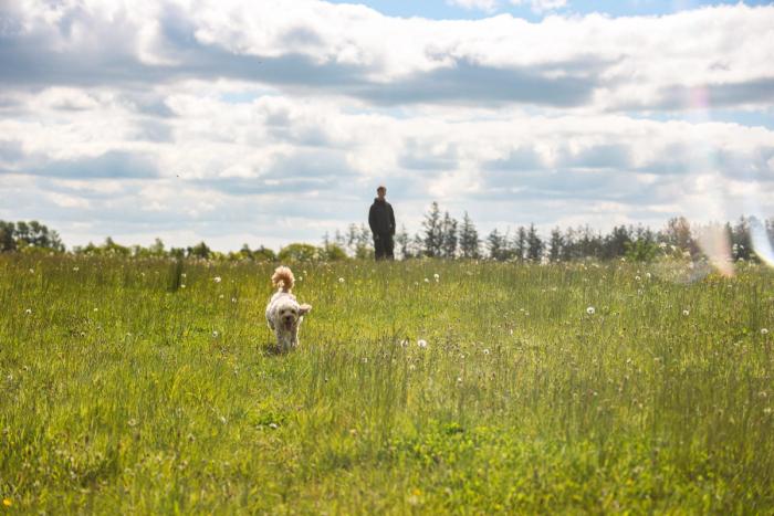 Vår getaway med hund och mys i centrum