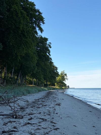 Vi havde stranden helt for os selv