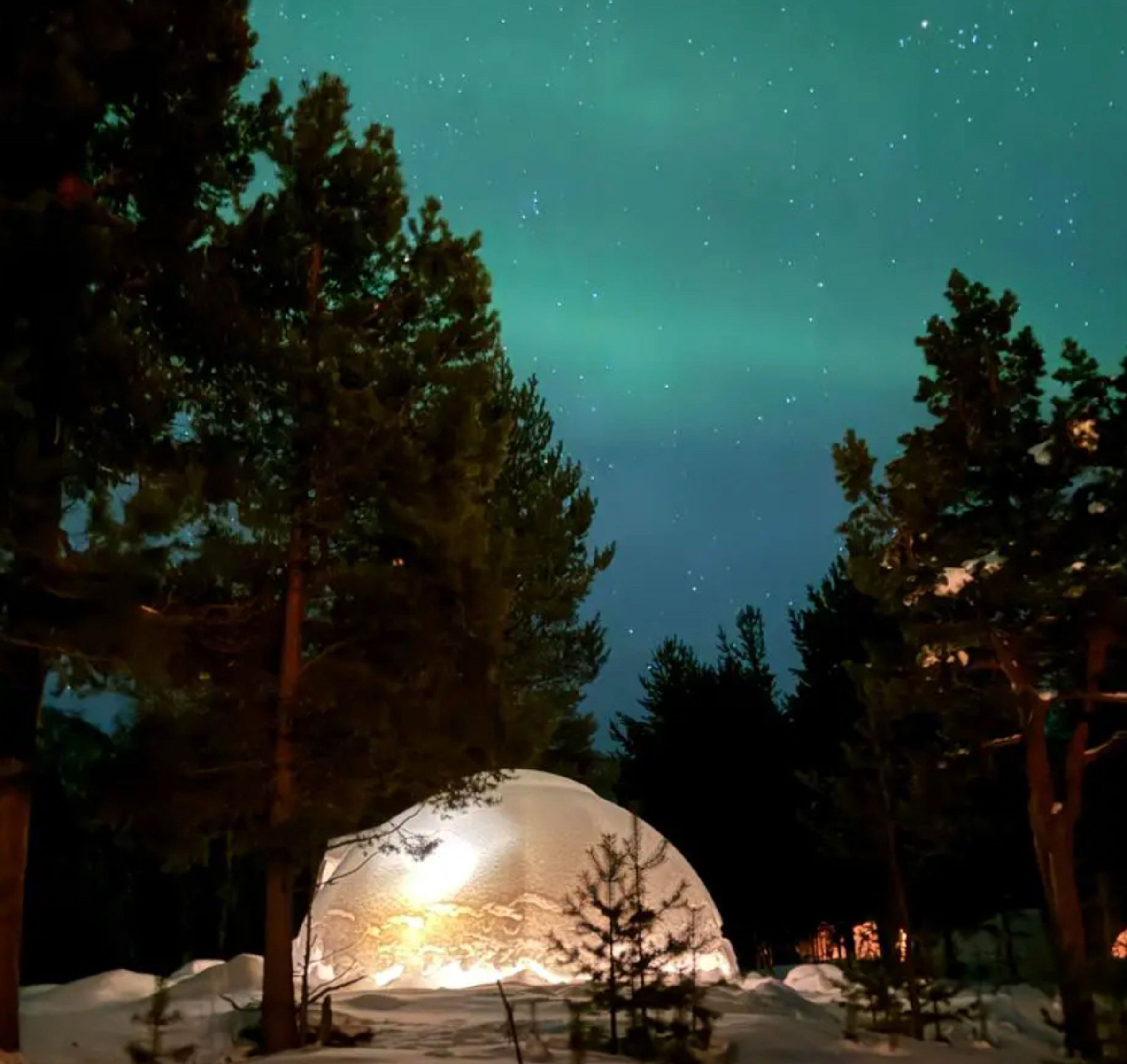Aurora Dome with Designer Room Included – A Unique Forest Escape