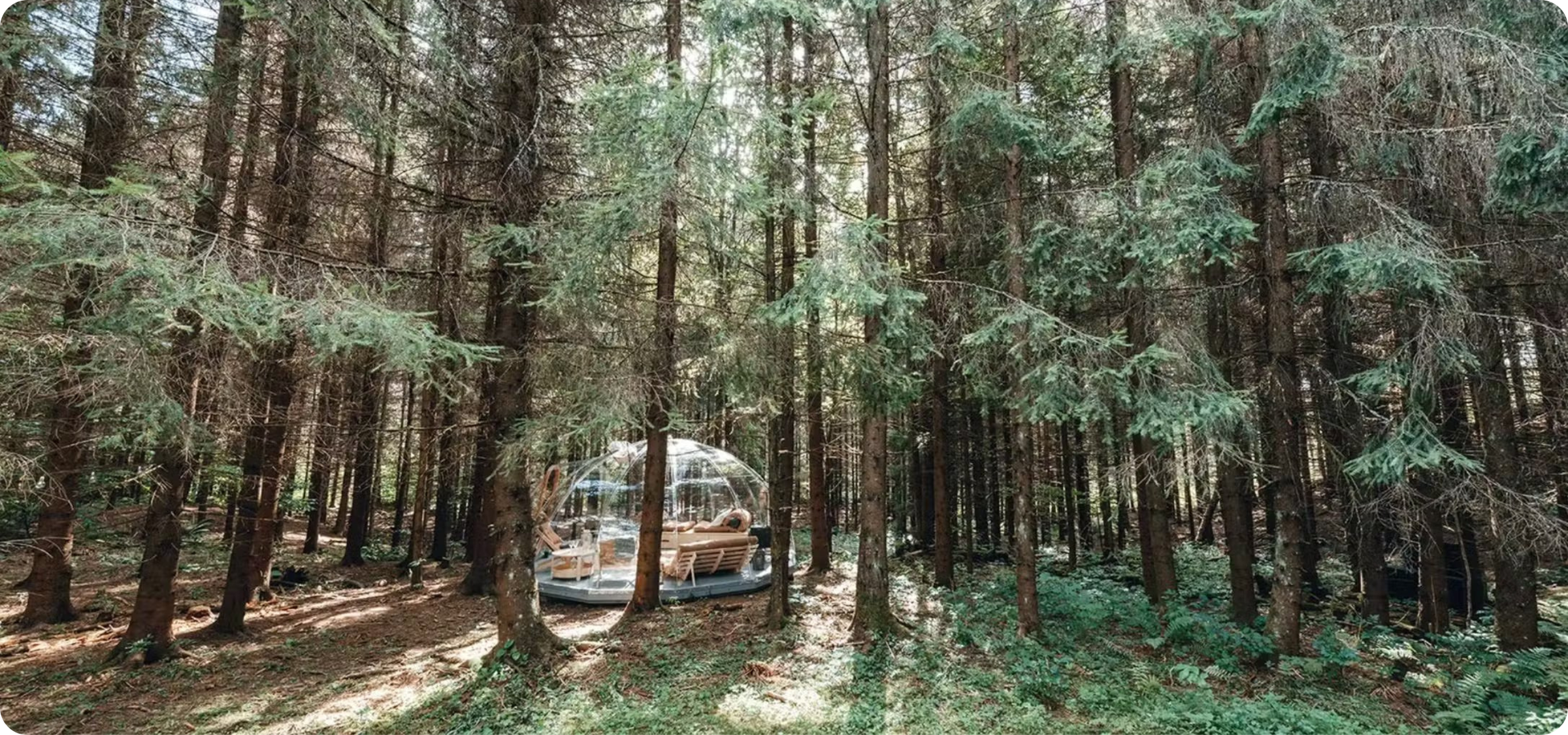 Bonfire Stories in Aktiviteter Vandring Vandra I Norge Guide - nature experience