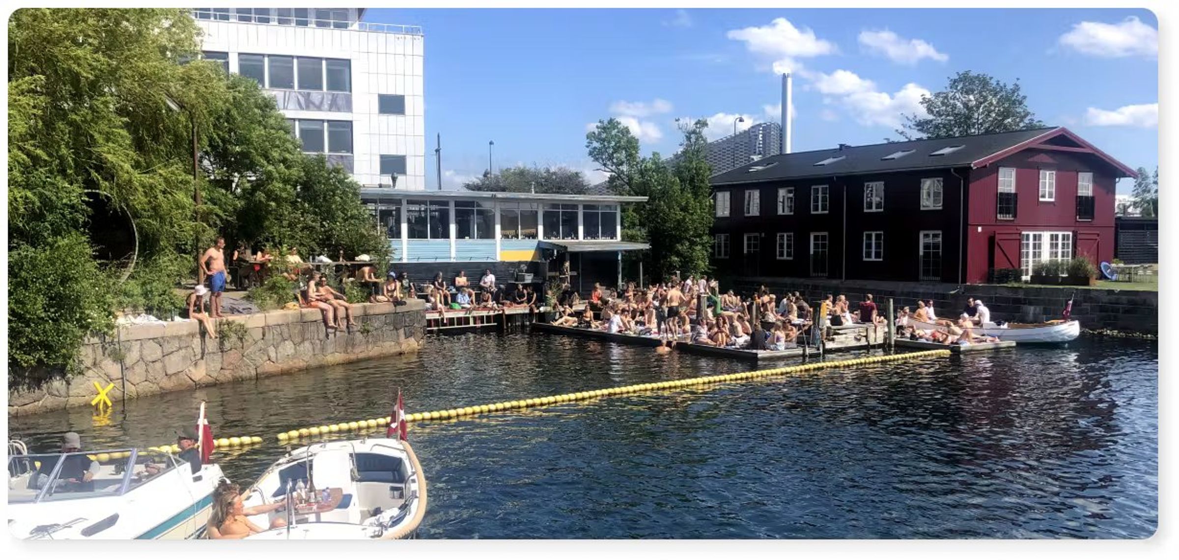 Vinterbadning i Köpenhamn