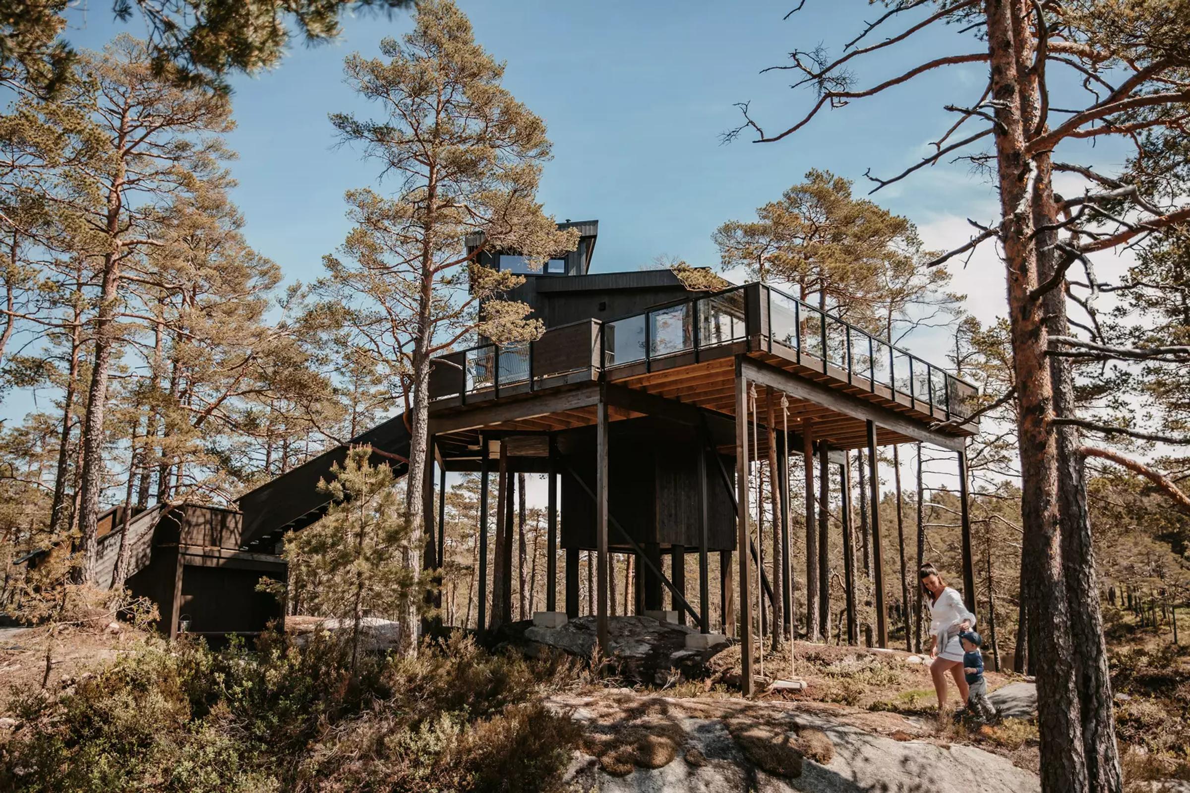 Tretopphytter på Sørlandet