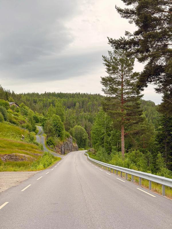 Planera inte varje minut