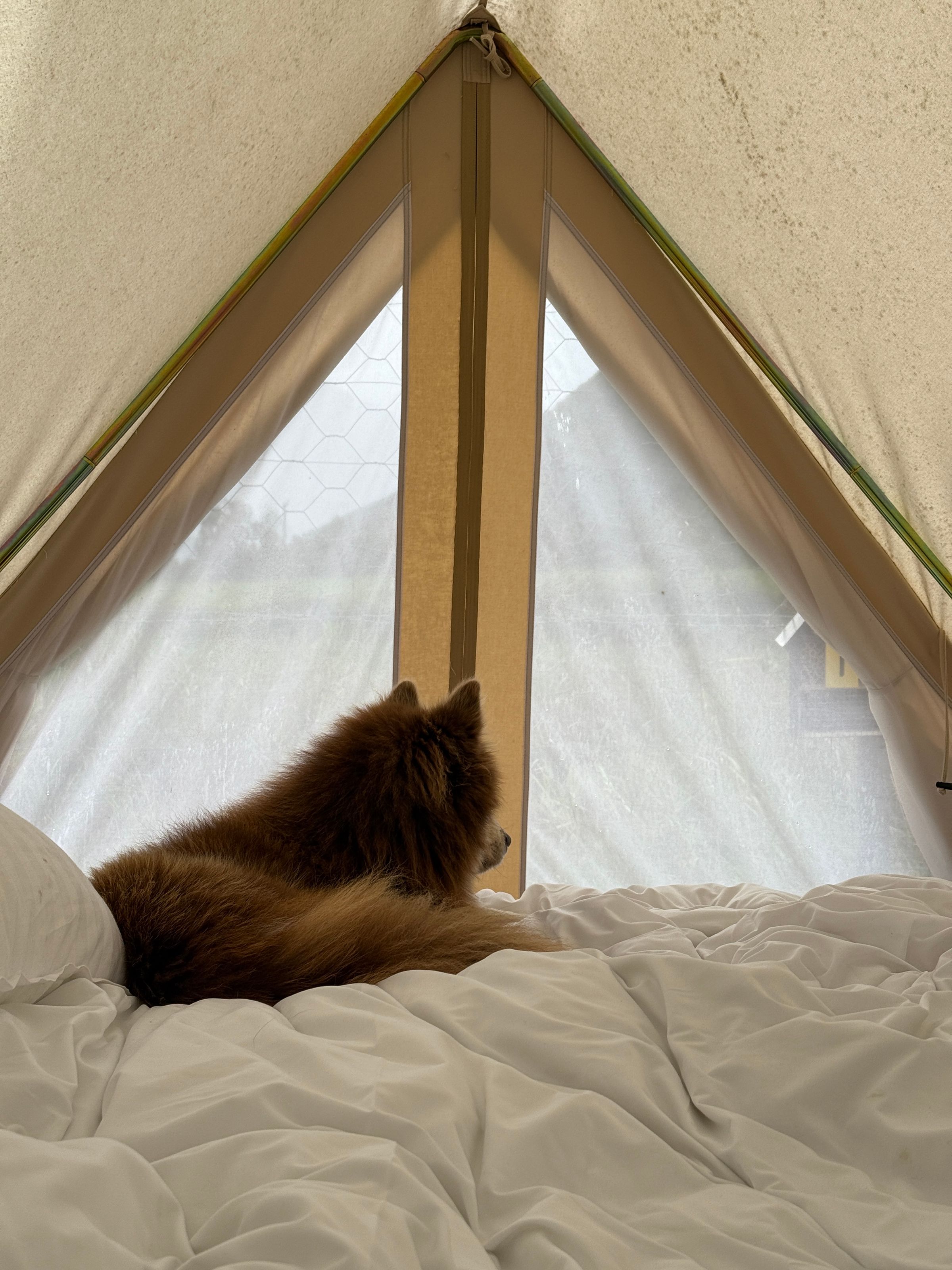 Glamping
