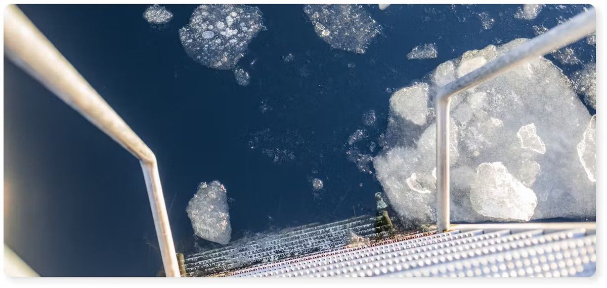 Bonfire Stories i Sauna Vinterbadning I Kobenhavn - naturoplevelse