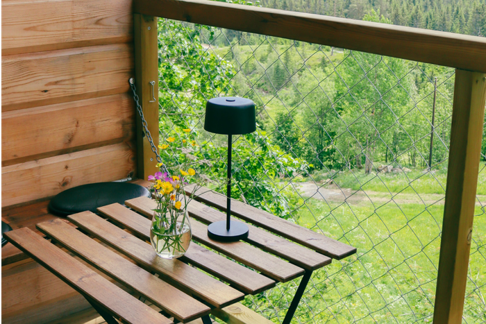 Inde i hytten