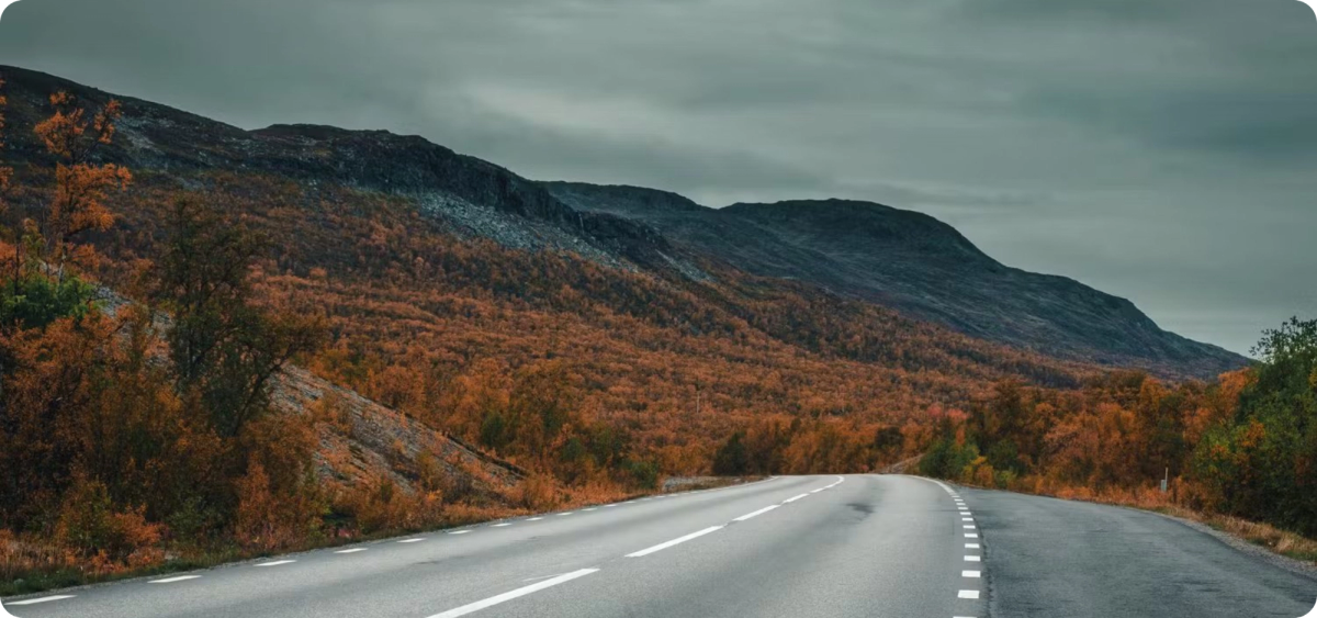 Bonfire Stories in Restips Semester I Sverige Dolda Parlor - nature experience