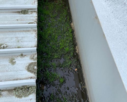 Gutter on Pental Road, Caulfield North before the autumn clean