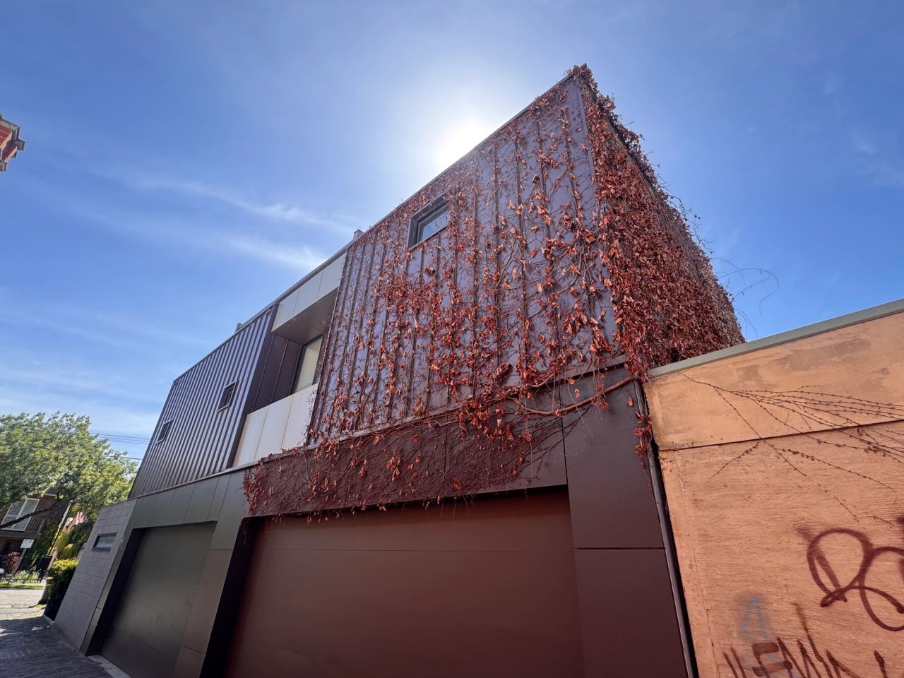 Ivy removal and facade cleaning on Lodge Street, St Kilda West