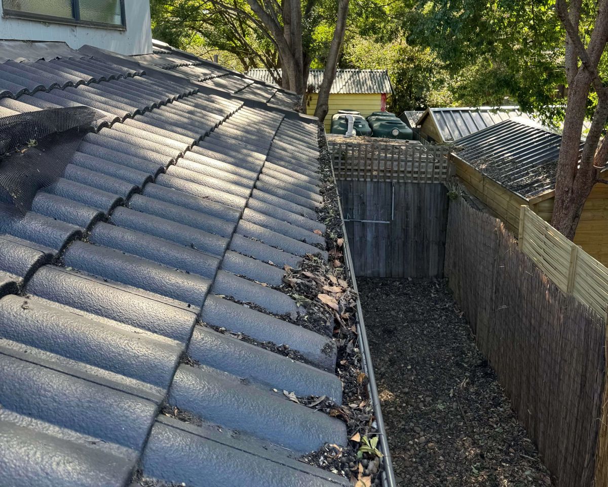 Gutter below a terracotta tile roof on Prospect Hill Road, Canterbury before cleaning