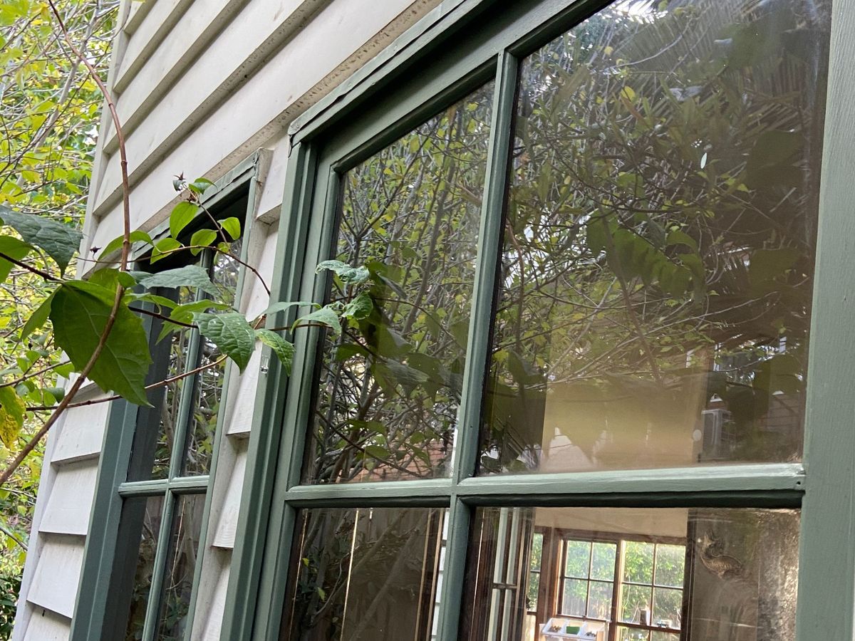 The same Blenheim Street gutter cleared, with the colonial glazing cleaned in the same visit