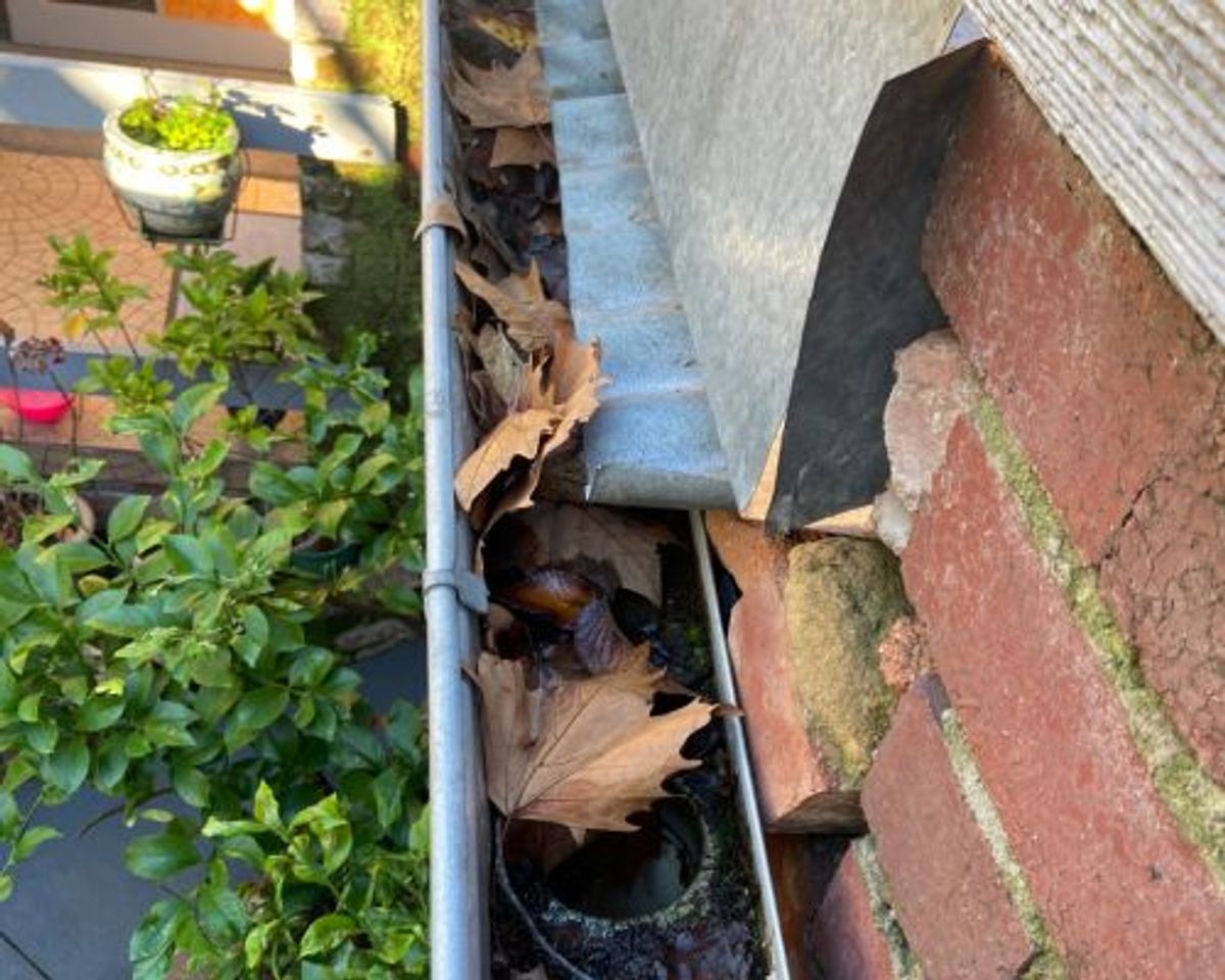 Gutter on a two-storey Fitzroy townhouse packed with dried leaves and holding standing water before cleaning