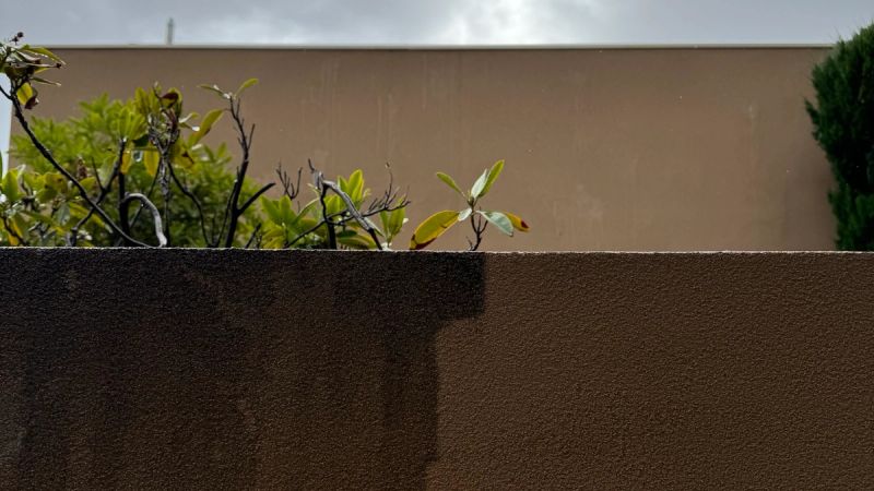 How to Get Rid of Mould on Walls, Inside and Out