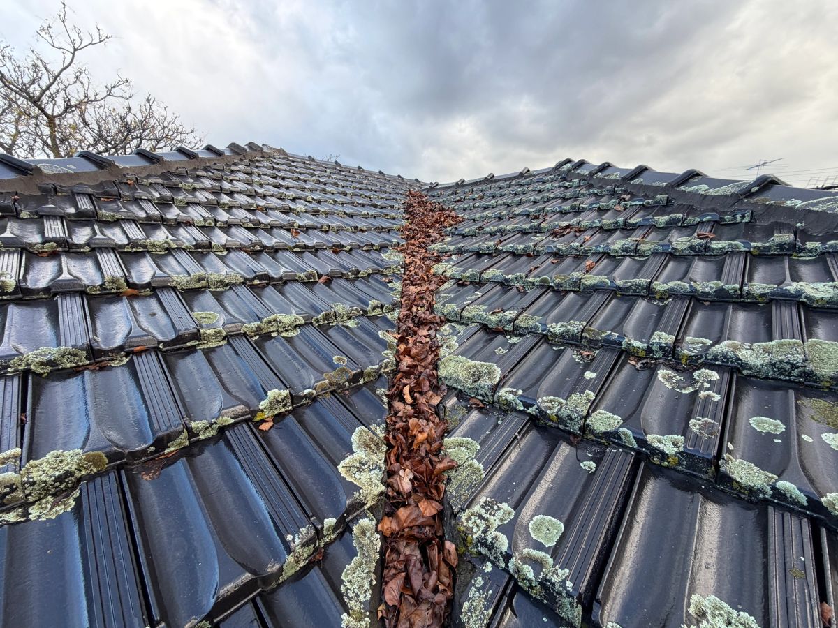 Roof valley on Narawong Road, Caulfield packed solid with years of leaf litter before cleaning