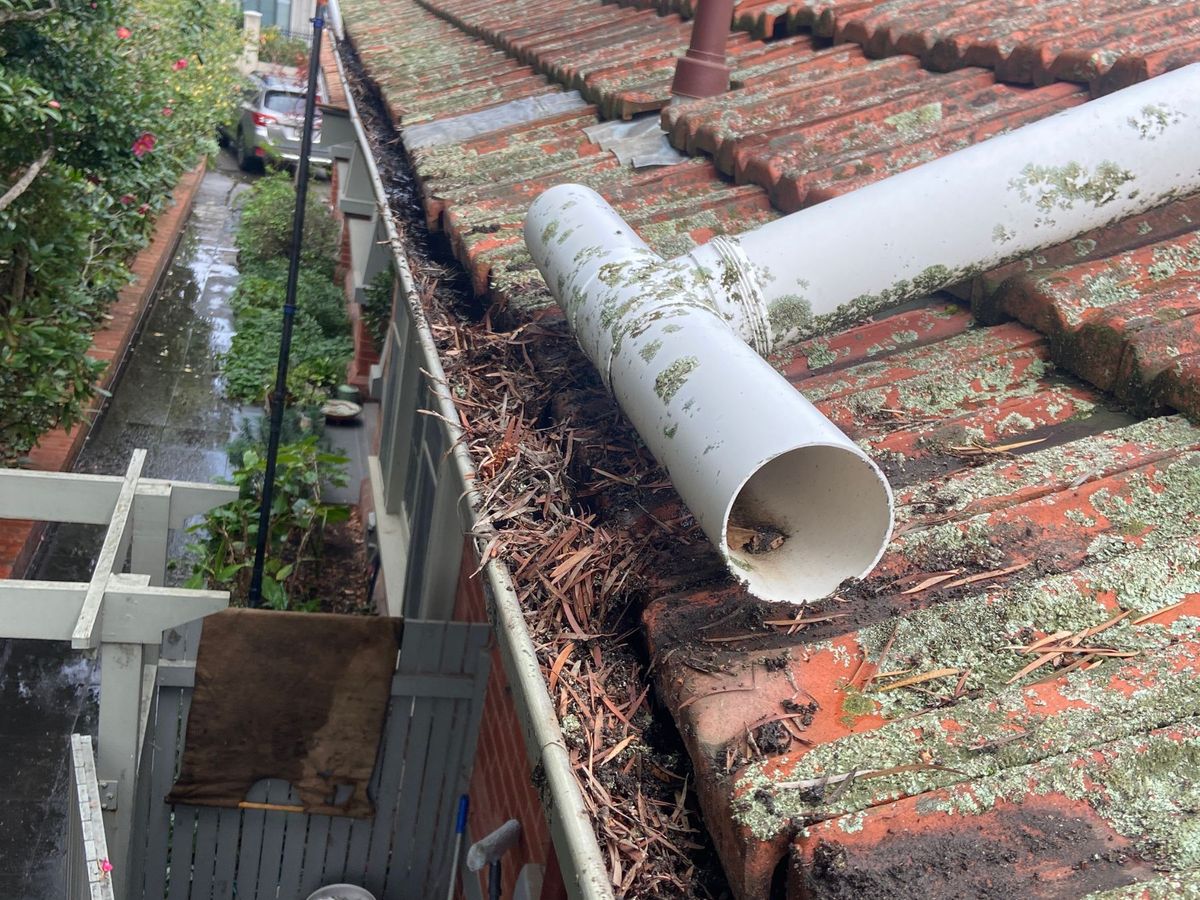 Brush gutter guard on St Helen's Road, Hawthorn East packed with soil before cleaning