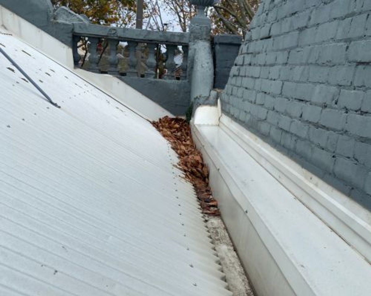 Box gutter behind a parapet on a Middle Park terrace with dried leaves banked along the roof join