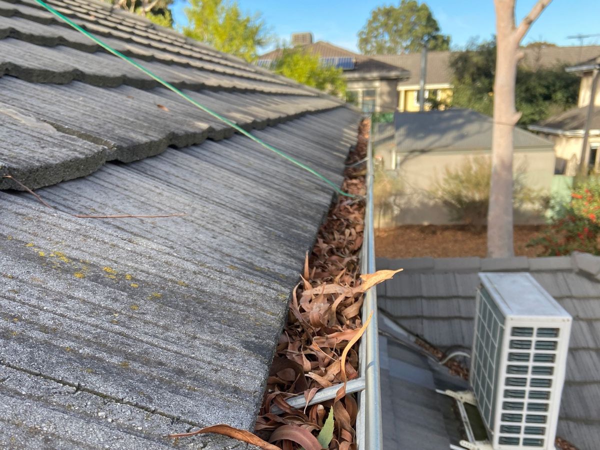 Gutter on Bluff Road, Hampton filled to the lip with leaves before cleaning
