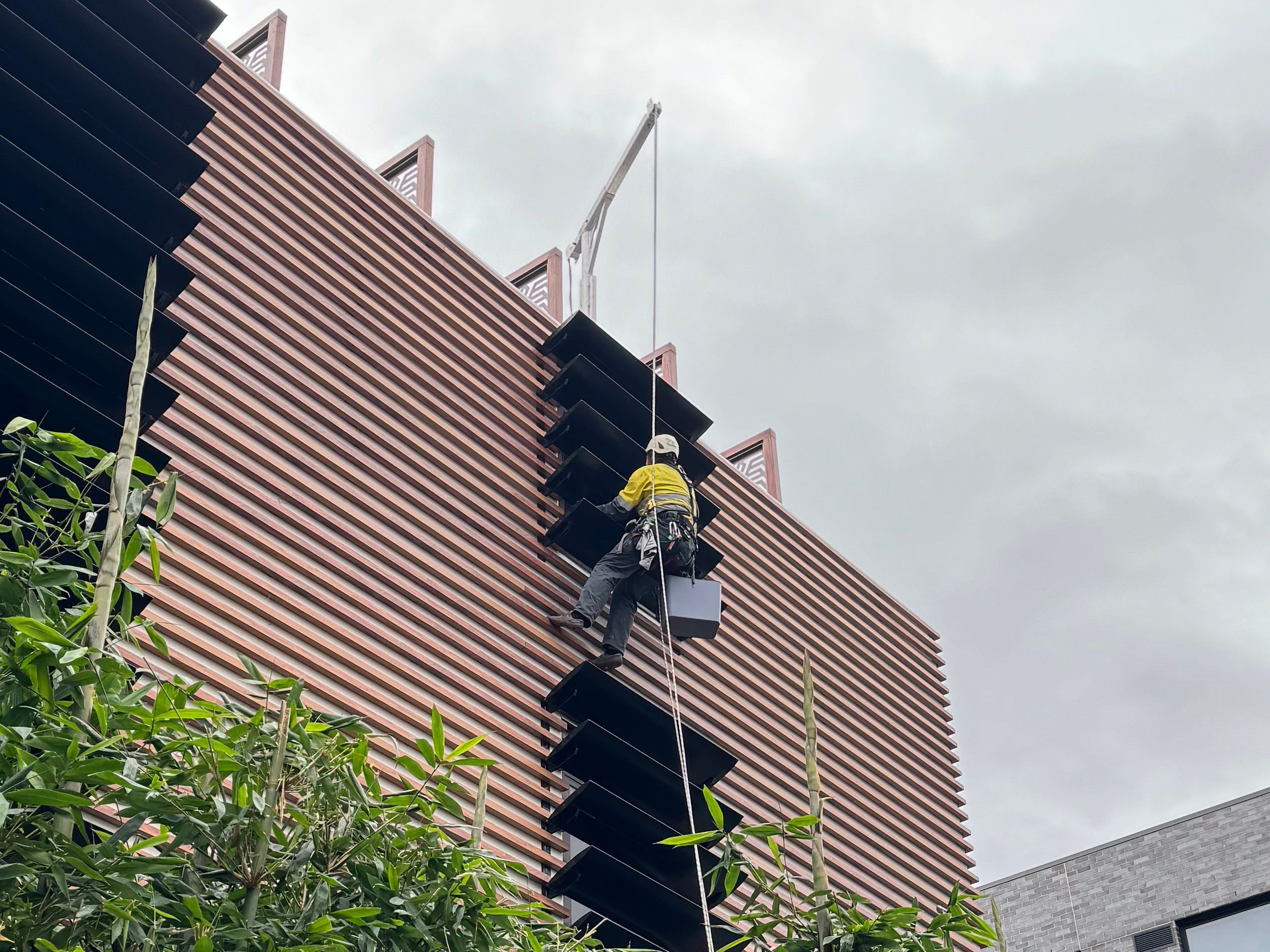 Rope access technician cleaning a modern battened facade on a St Kilda building