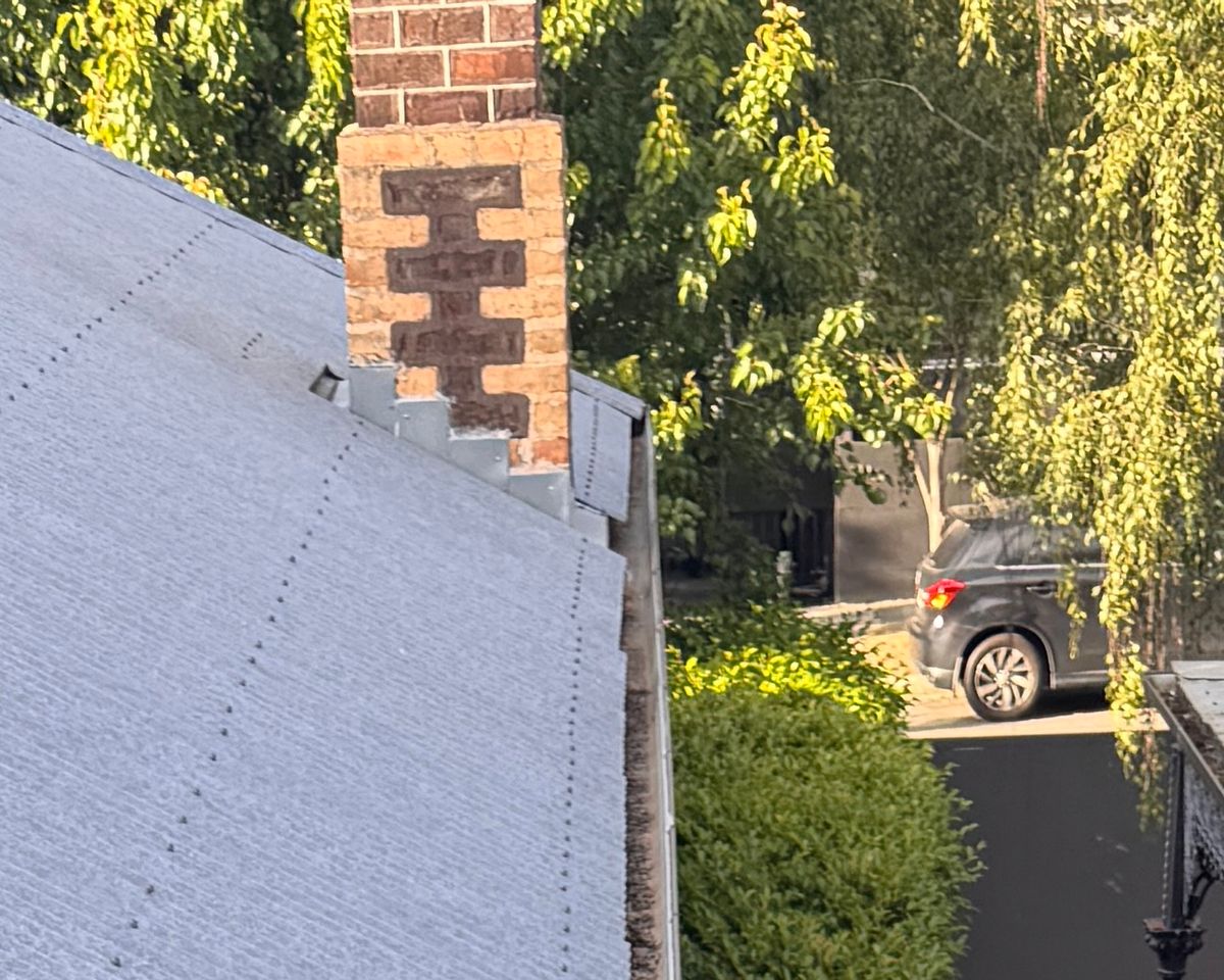 Colorbond gutter on a single-storey St Kilda home packed with leaves and seed pods before cleaning