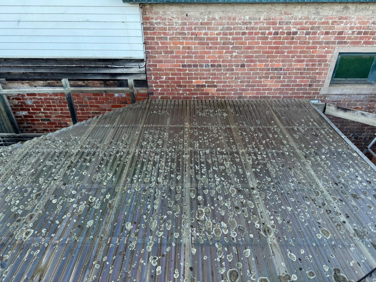 Clear polycarbonate pergola roof on Gordon Street, Elsternwick covered in moss on the upper face