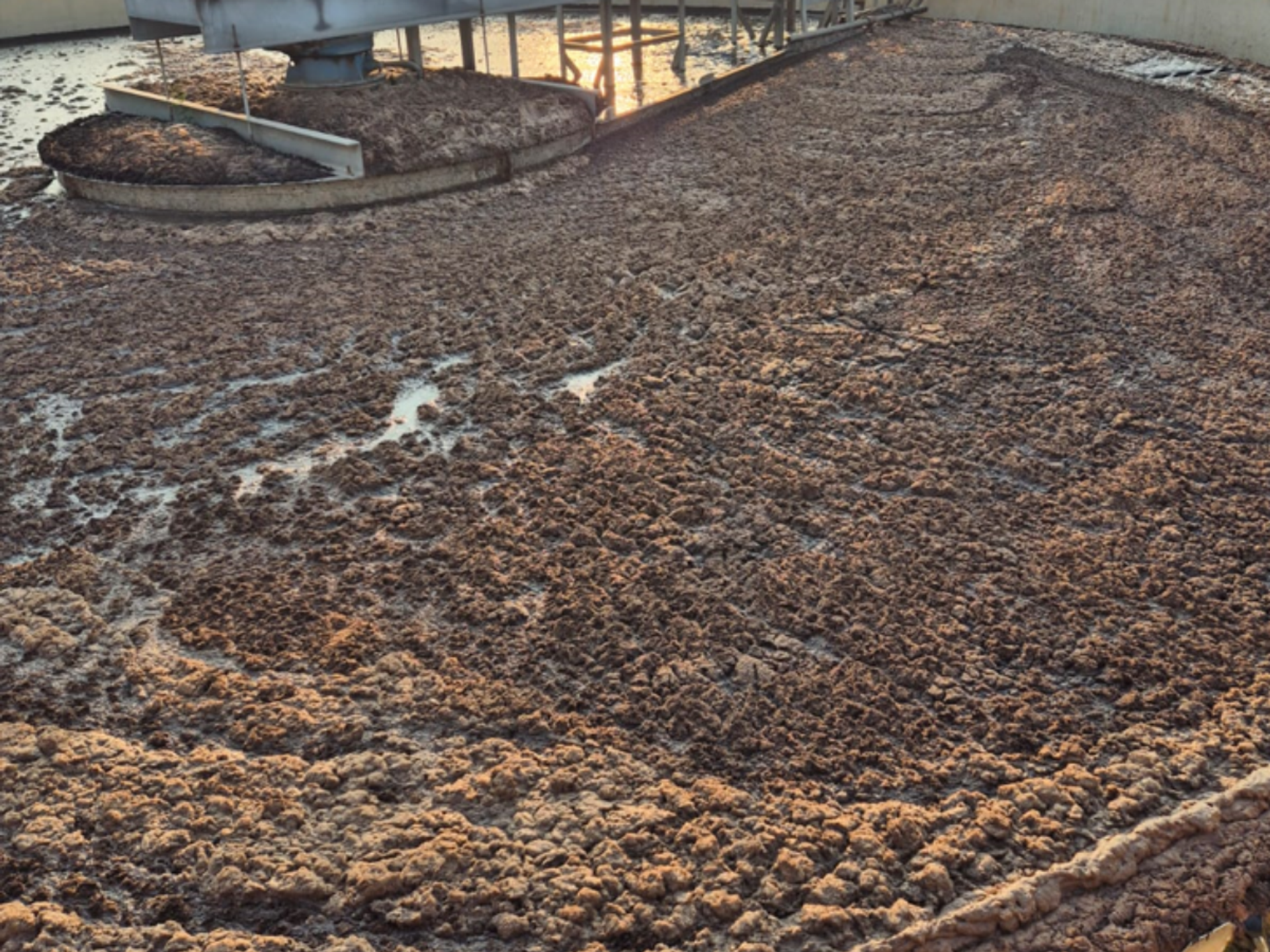 Clarifier Before