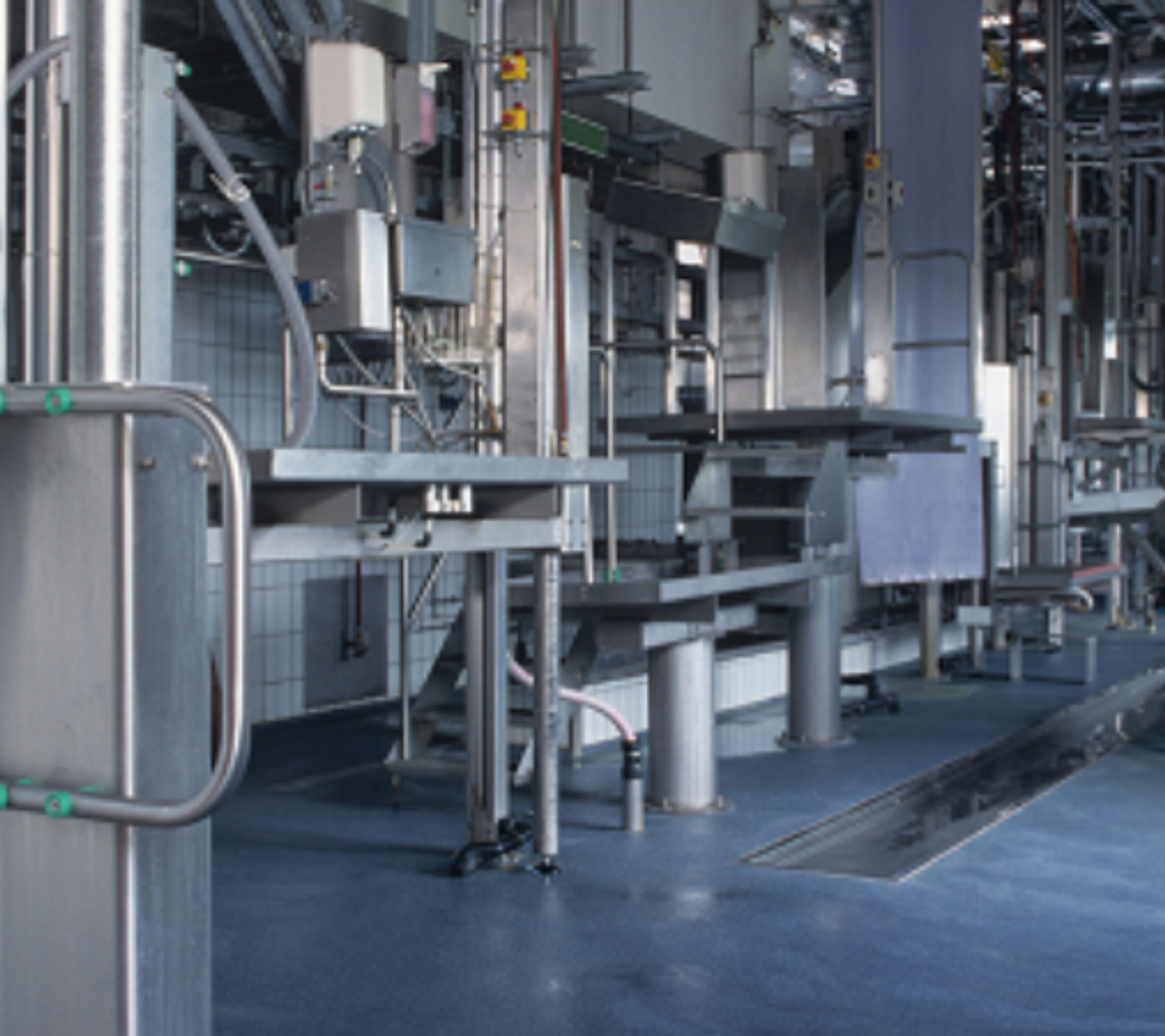 Cattle Rendering Process Environmental Impact of Animal Rendering Plants | EnviroZyme