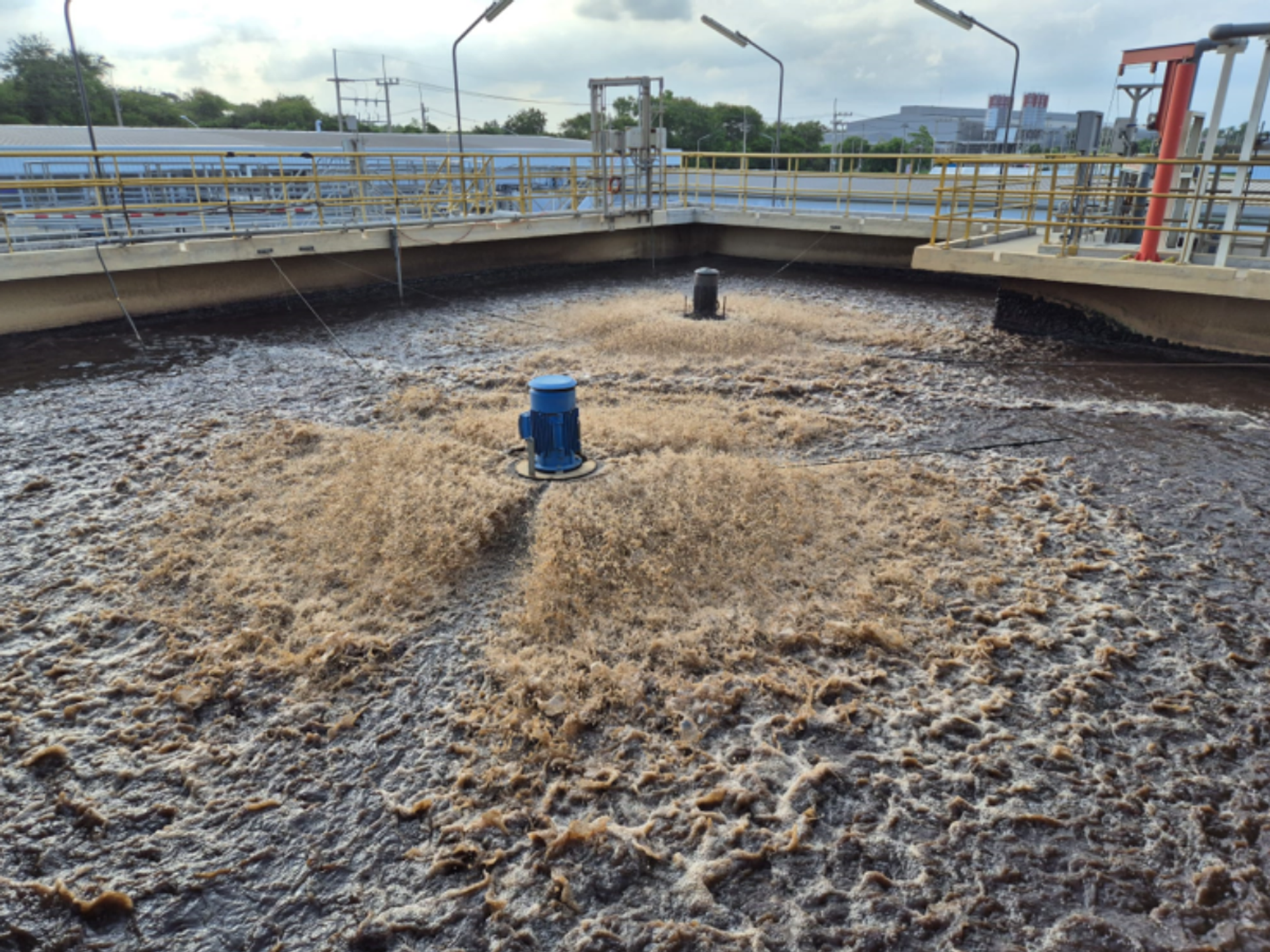 Aeration Basin After