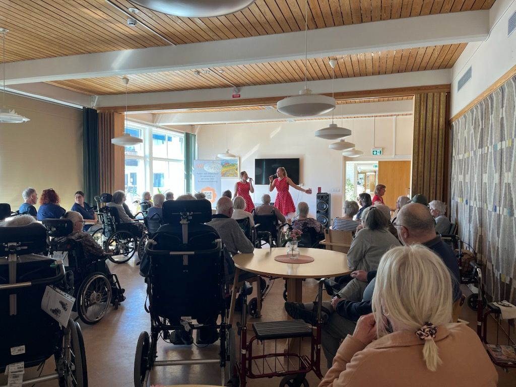 Kultur i vården