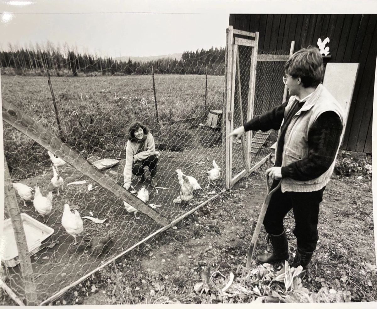 Hemma på landet
