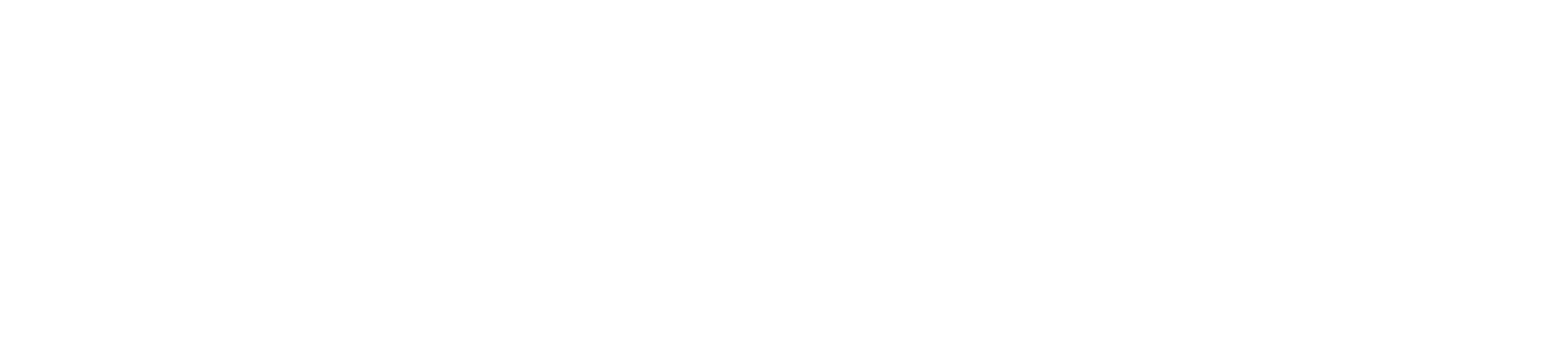 Nimlas_logo_white_png
