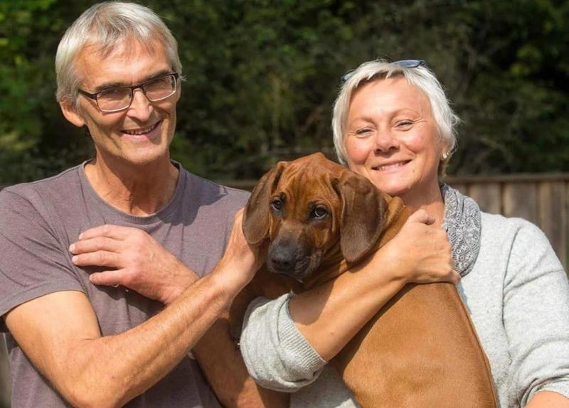 Kennel Enchanting Ridge – rhodesian ridgeback med hjerte og omtanke