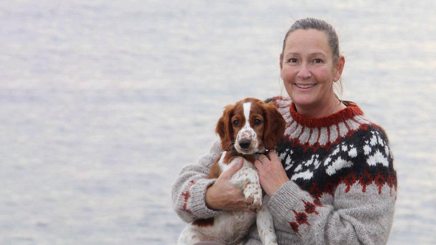 Welsh springer spaniel fra Kennel Moontorg – en alsidig og arbejdsvillig jagthund