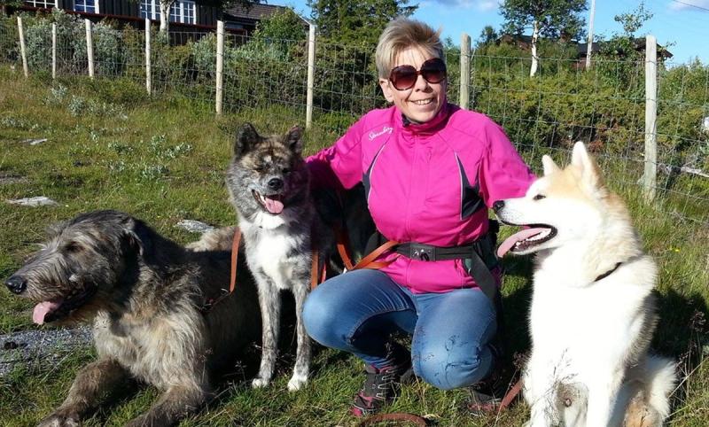 Kennel Linekjørven – Naturlig og robust oppdrett av Akita