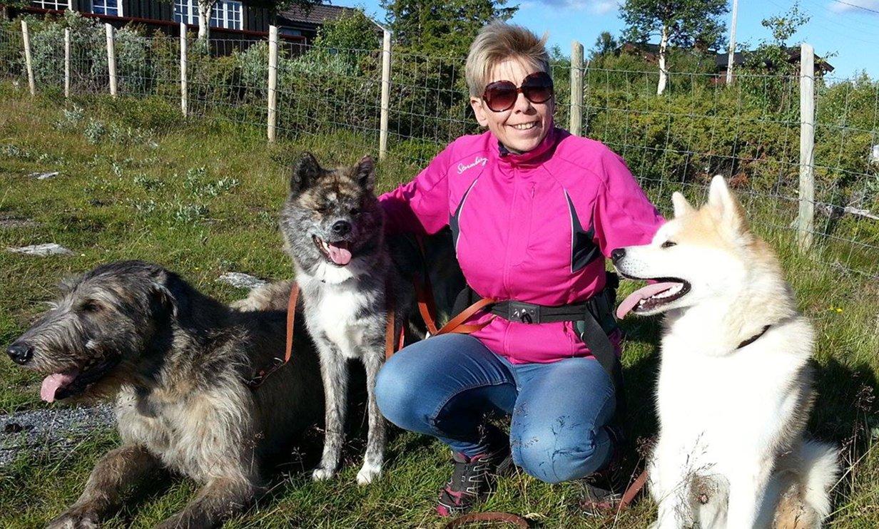 Kennel Linekjørven