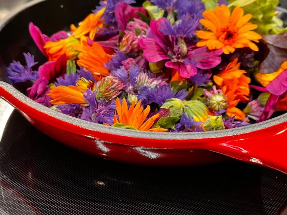 Essbare Blüten in der Pfanne beim Kochevent