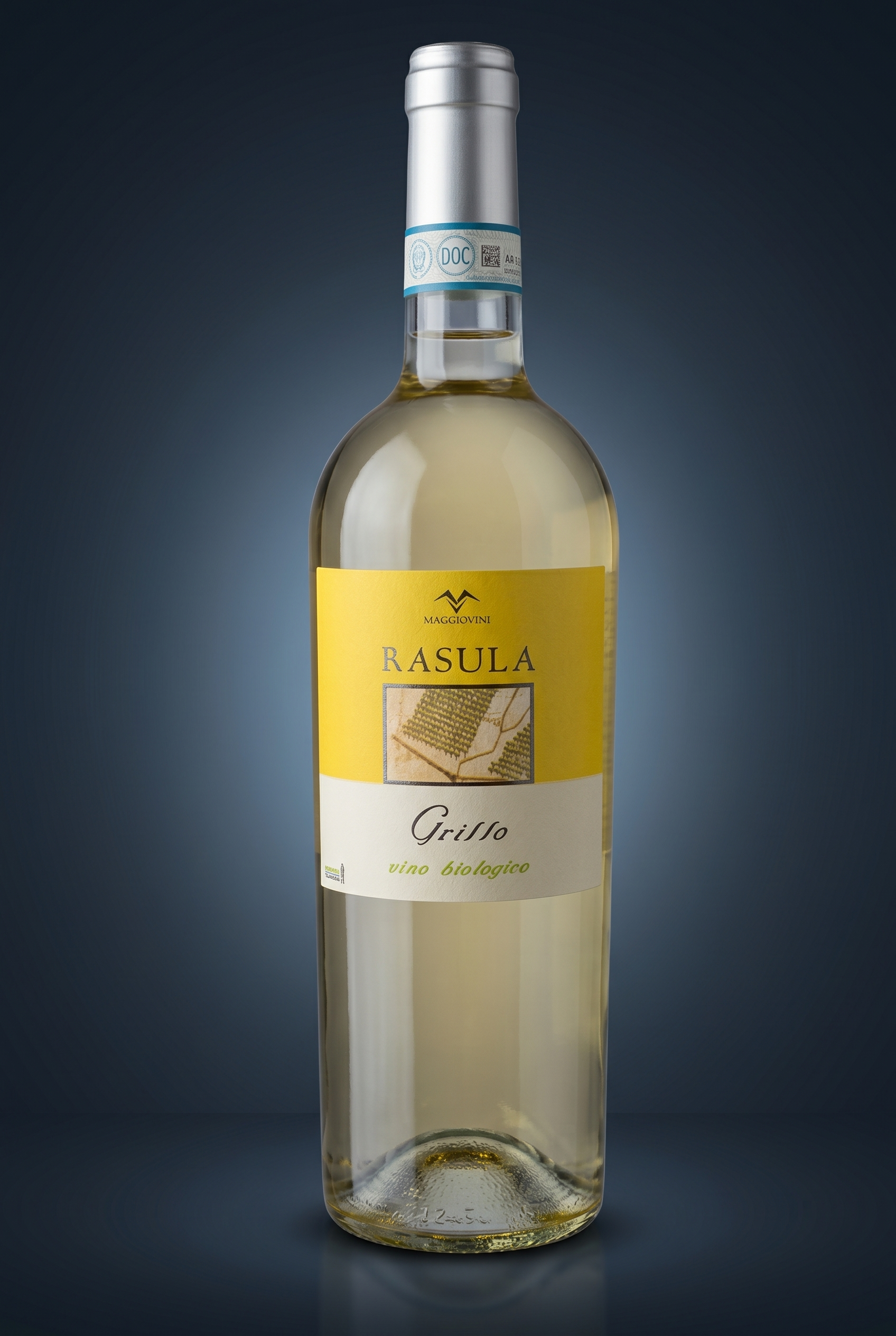 Macciovini Rasula Grillo, freigestellte Flasche auf dunklem Verlauf