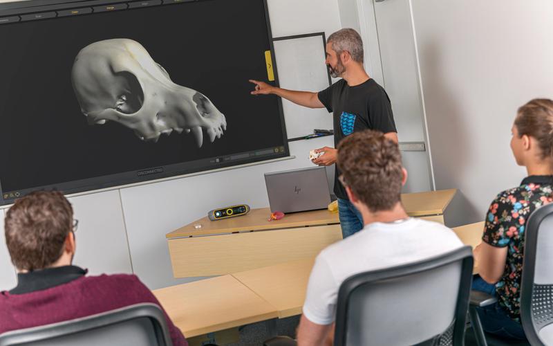 Lektor näitab peel 3 skänneriga loodud digitaalset kolju mudelit klassiruumis