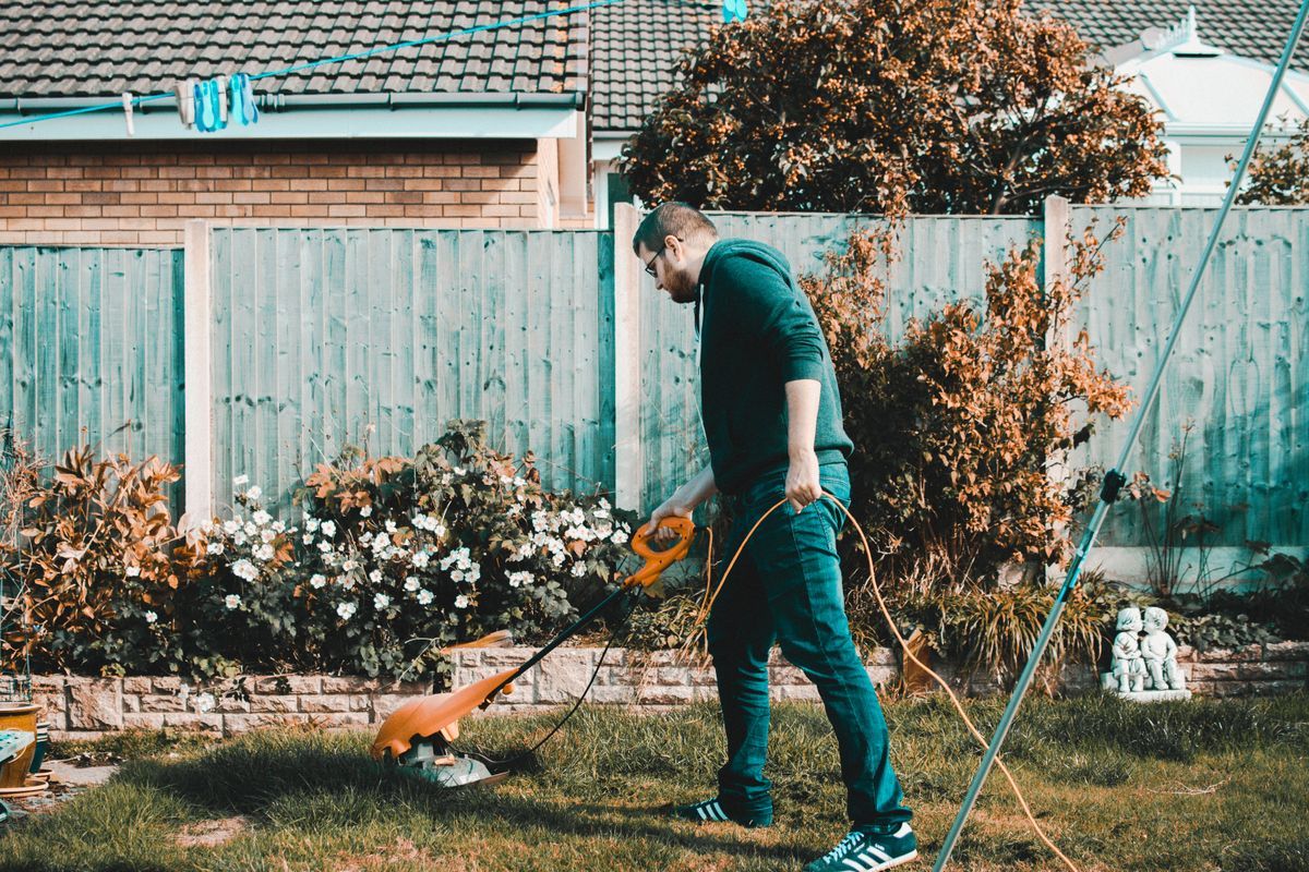 Freshly cut lawn