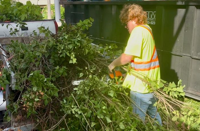 Full Yard Cleanup — Ready For Sale
