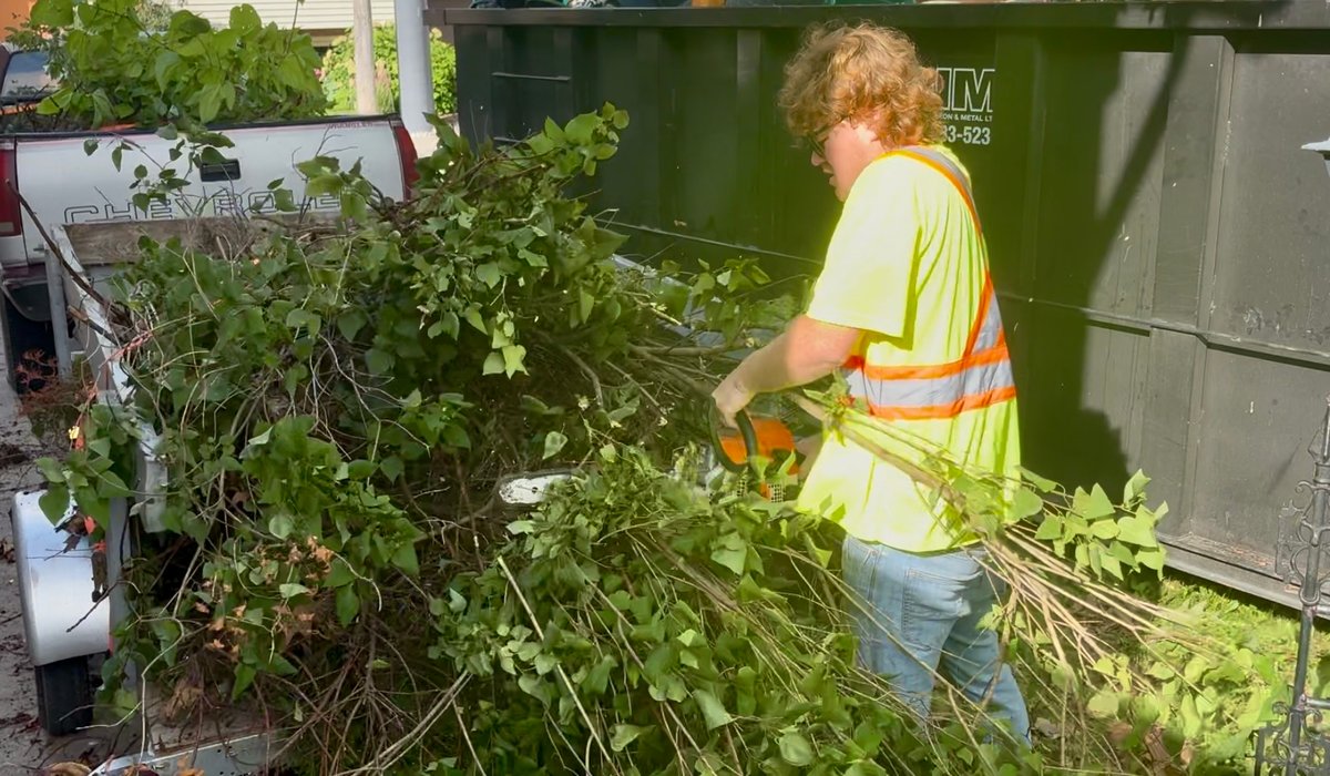 Full Yard Cleanup — Ready For Sale