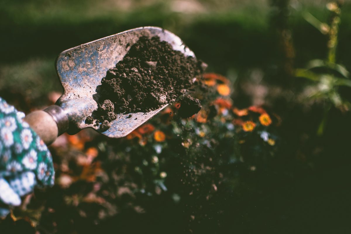 Weekly Maintenance — Drummond Street
