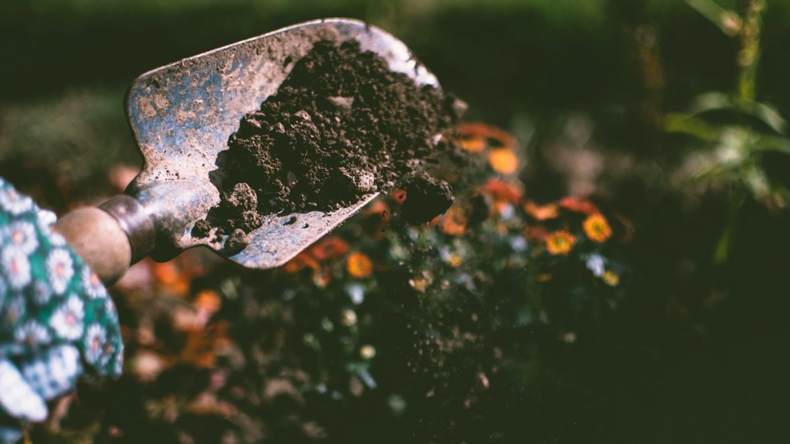 Weekly Maintenance — Drummond Street
