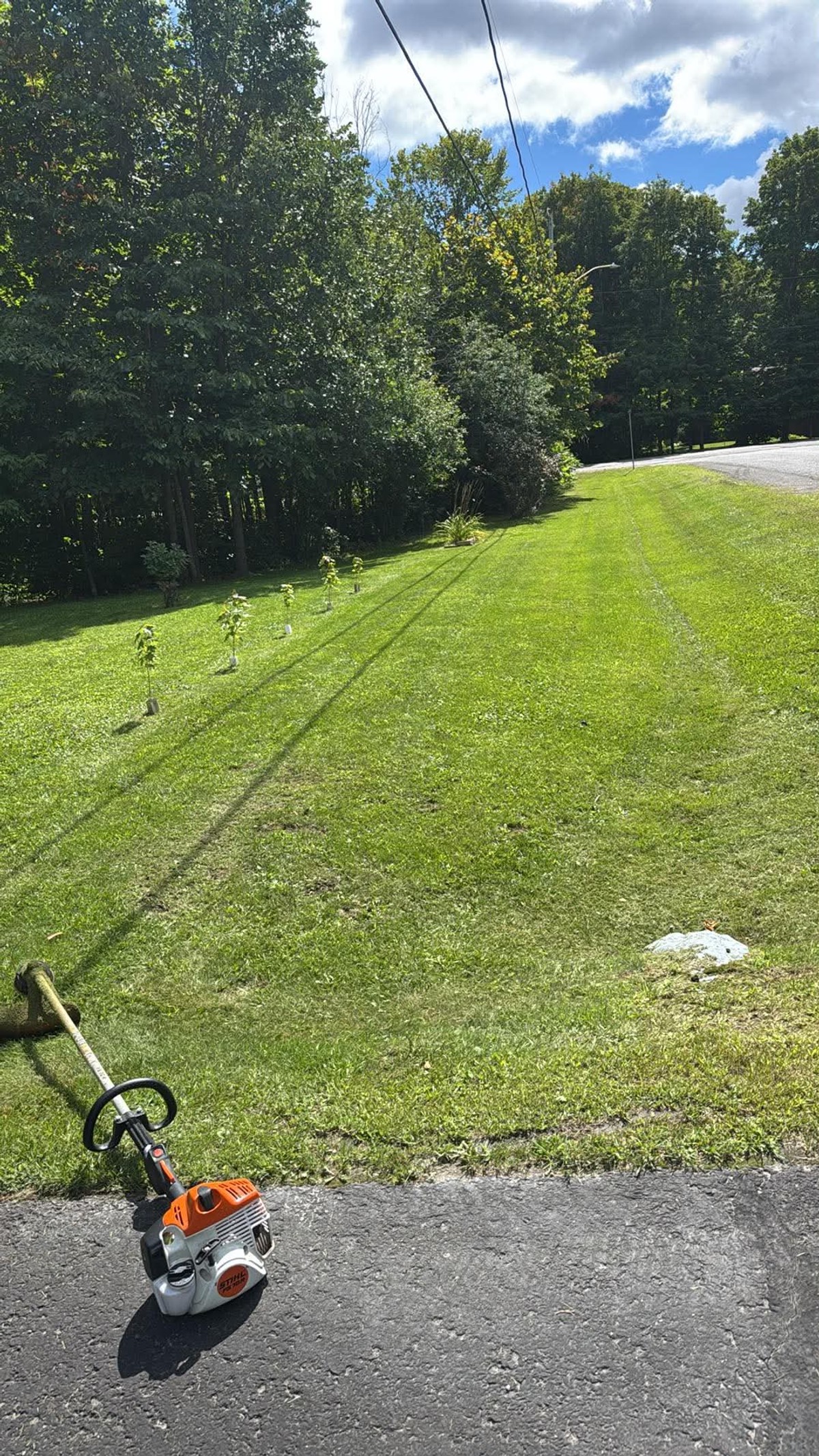 Property Line